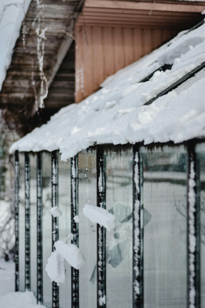 Image of a greenhouse in winter