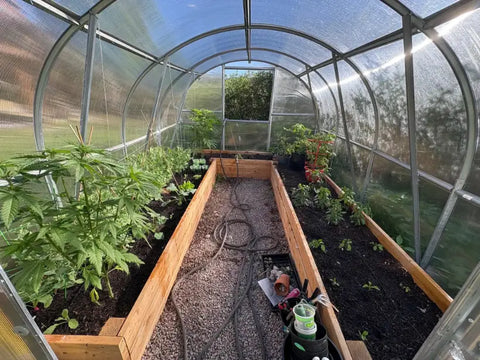 A polycarbonate greenhouse in an owner's garden