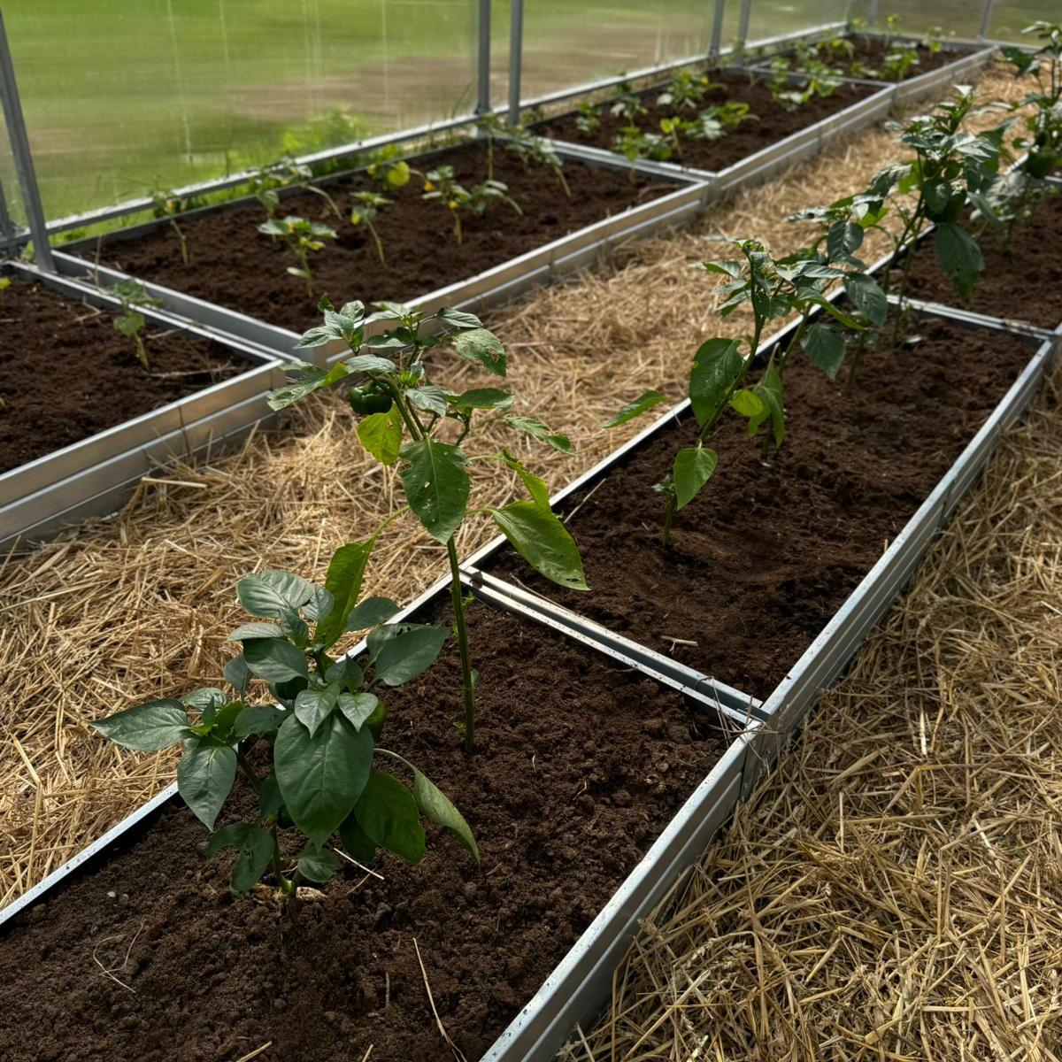 Raised Gardening Bed Kit