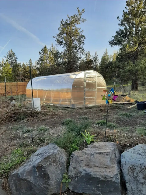 A polycarbonate greenhouse in an owner's garden
