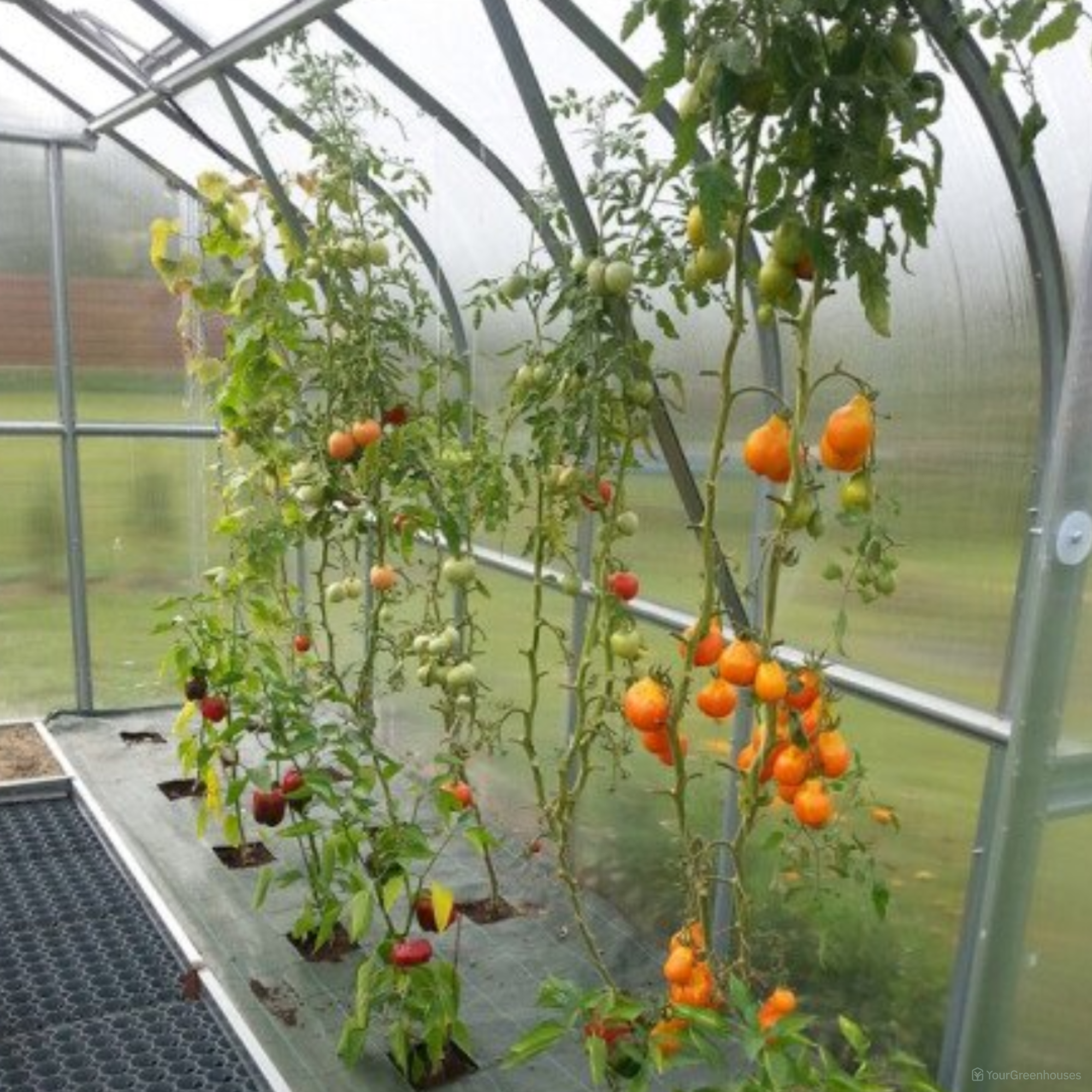 Plant Support Kit