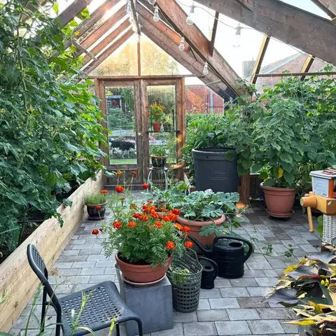 A Nordwood glass room in an owner's garden