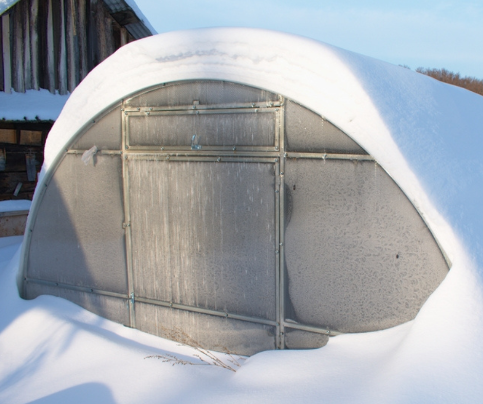 Why polycarbonate thickness matters in a greenhouse