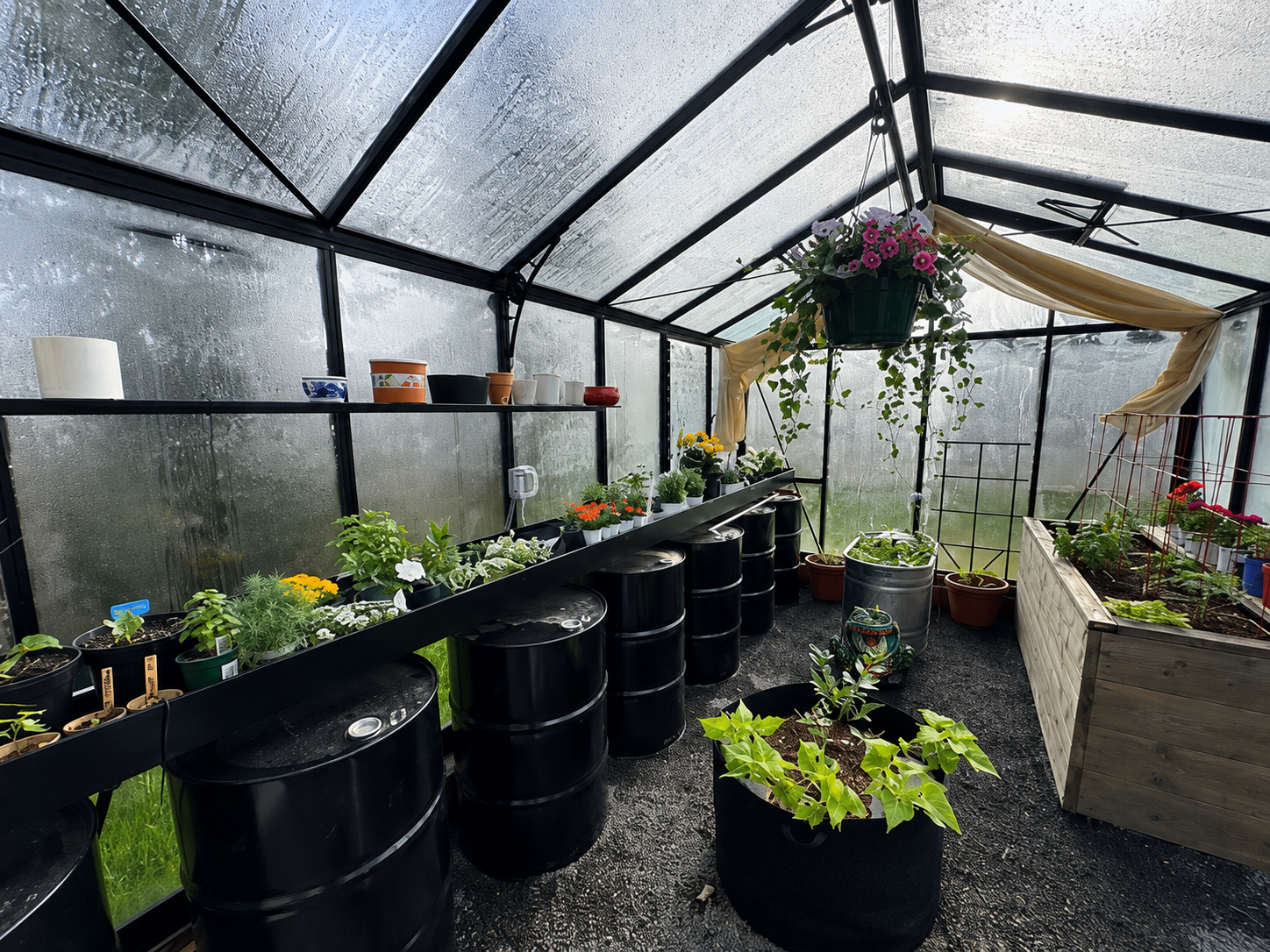 How to Extend Your Greenhouse Growing Season: 4 Techniques That Work Both Ways