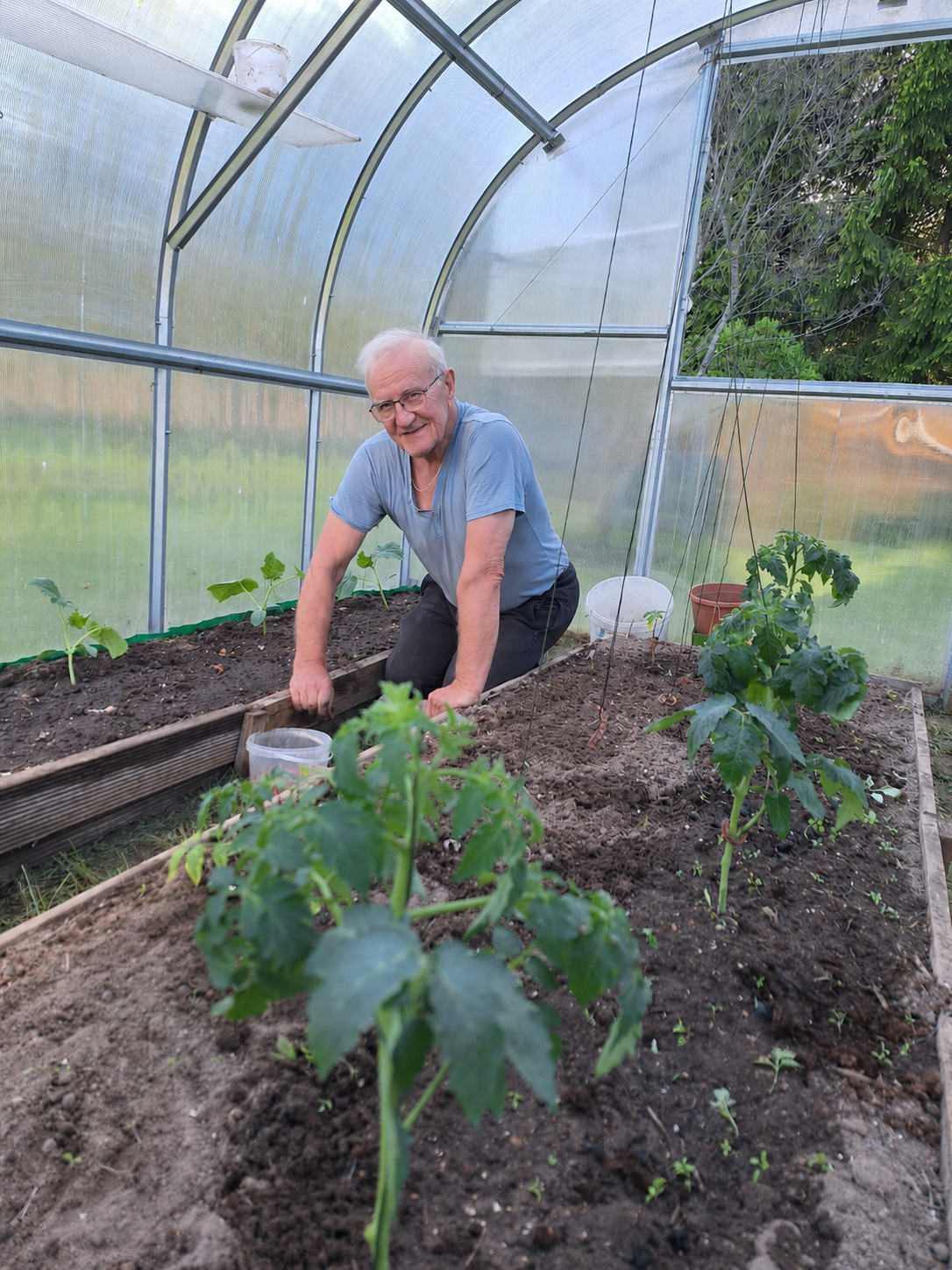 20 Years in the Same Greenhouse: Why Some Structures Just Keep Growing