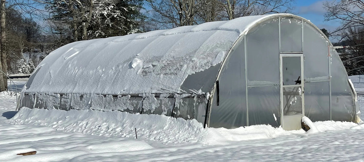 Will Greenhouse protect from frost