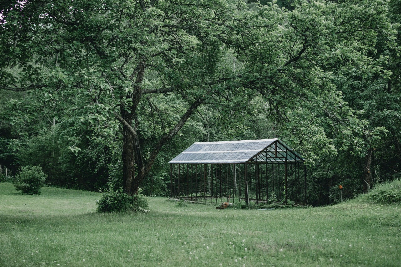 Greenhouse in the fruit garden with trees behind