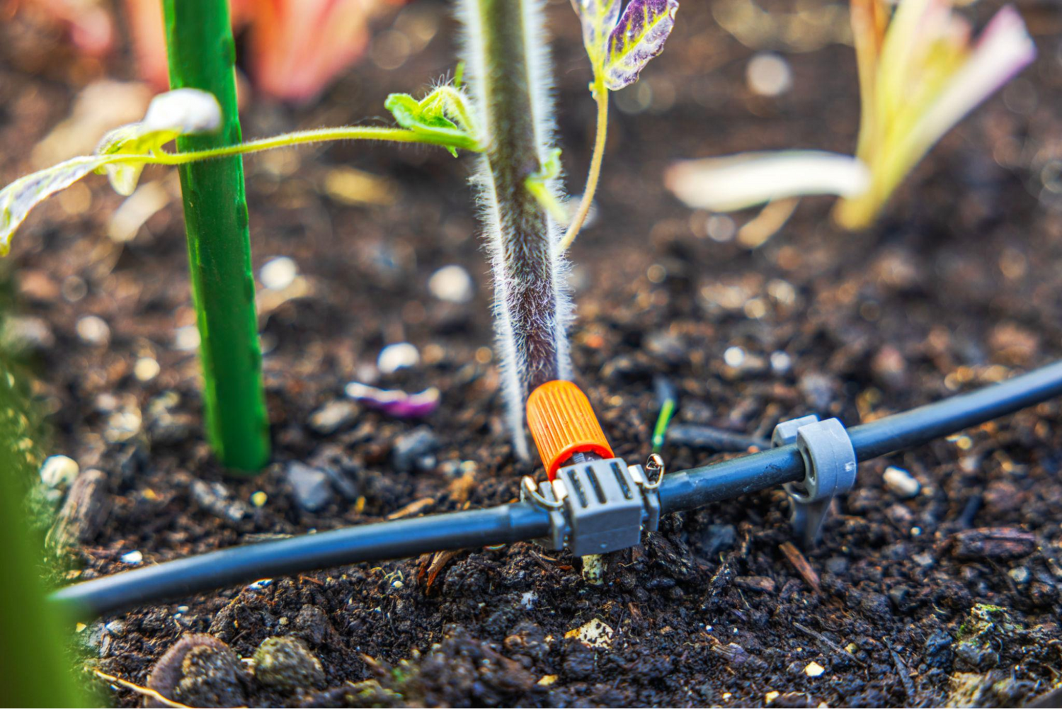 Greenhouse Automation for Home Growers: Smart Greenhouse Upgrades That Actually Work