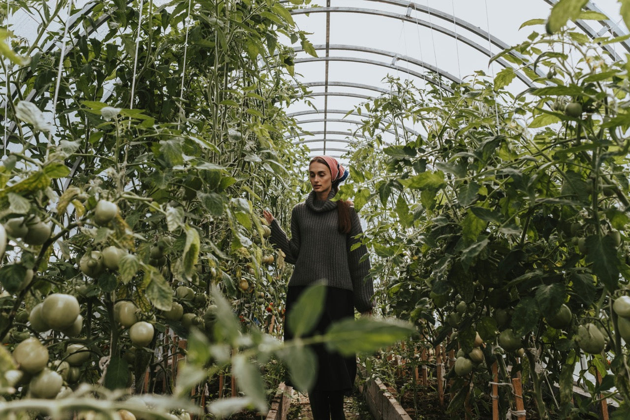  woman checking on tomato plants in a greenhouse