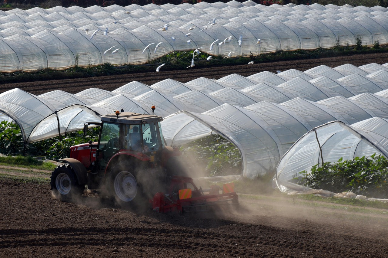 Farmer Working on a Greenhouse Field