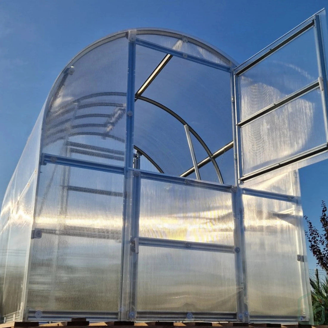 Mini greenhouse from the front with opened window