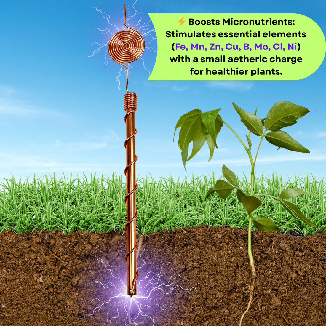 Copper Electroculture Antenna Set (4 pcs) – Boost Plant Growth and Vitality