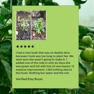 Copper Electroculture Antenna Set (4 pcs) – Boost Plant Growth and Vitality