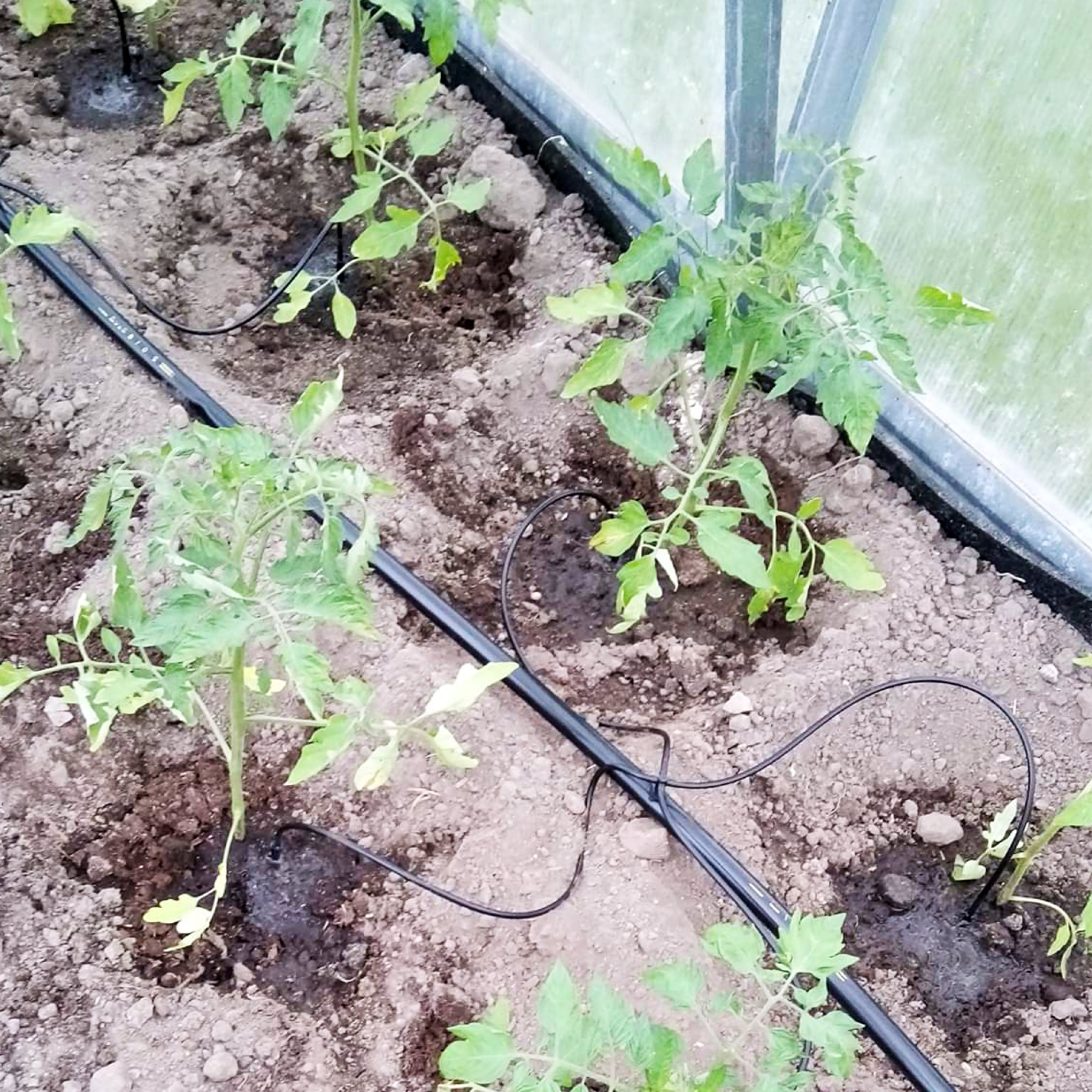 Drip Irrigation System – YourGreenhouses Inc