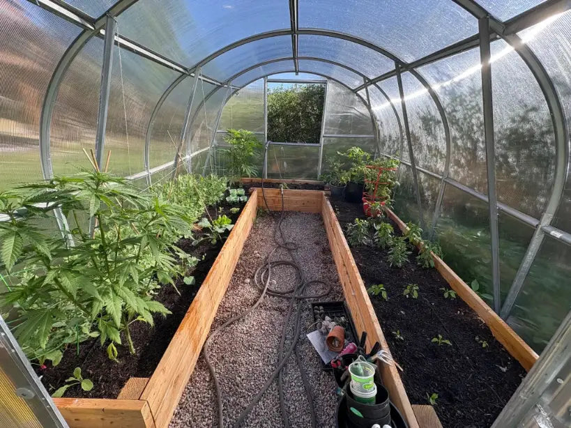 Owner greenhouse photo