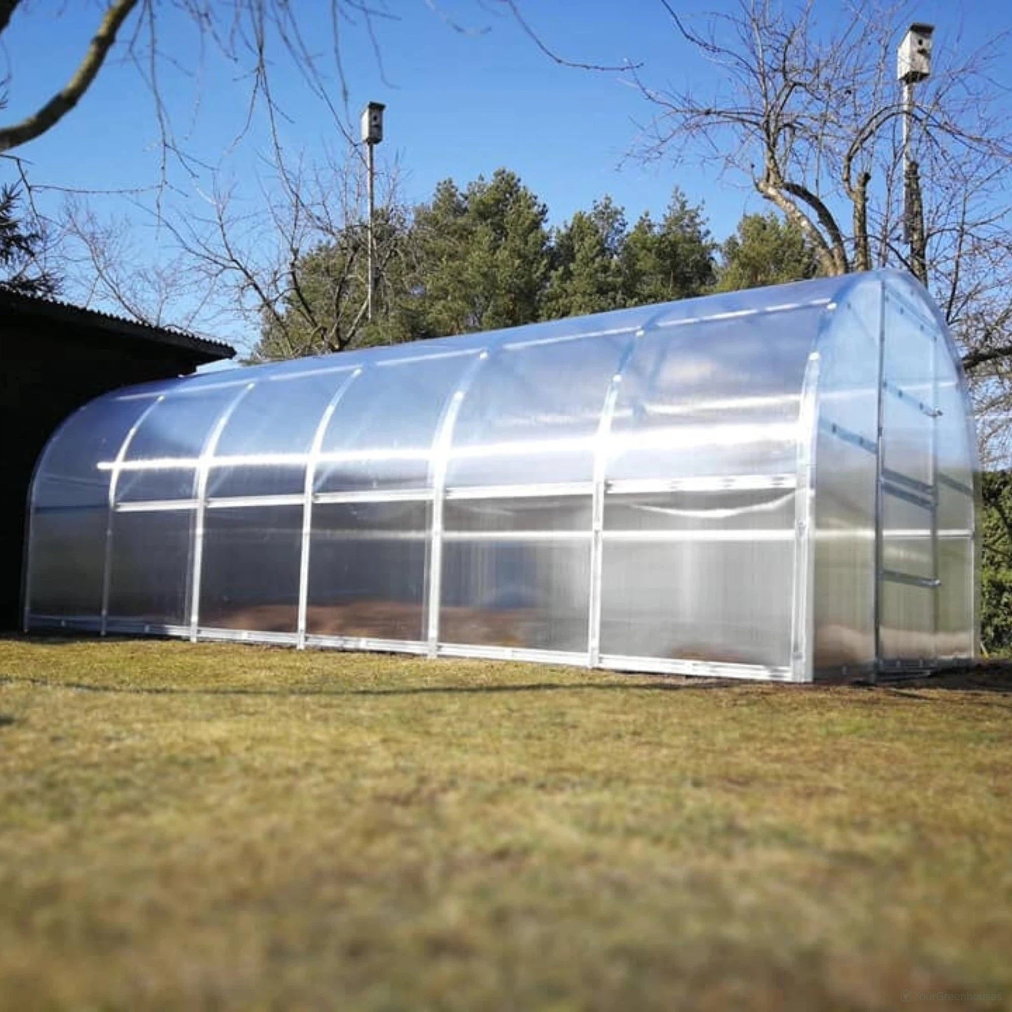 worlds most popular greenhouse in the backyard with trees behind