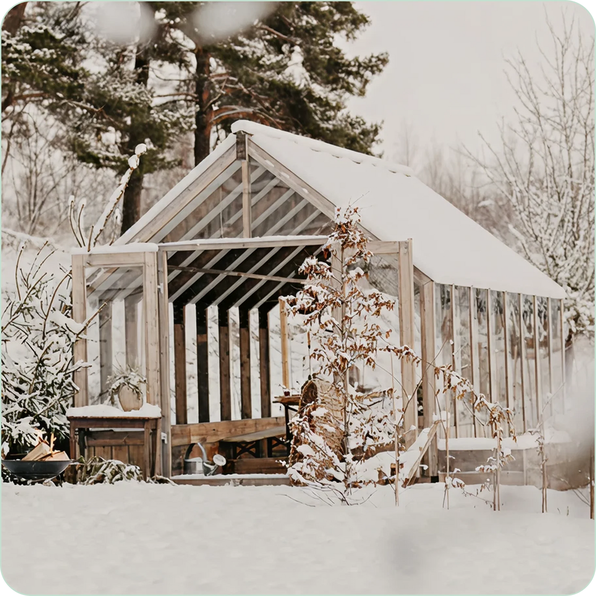 Snow-covered Nordwood greenhouse in a winter landscape