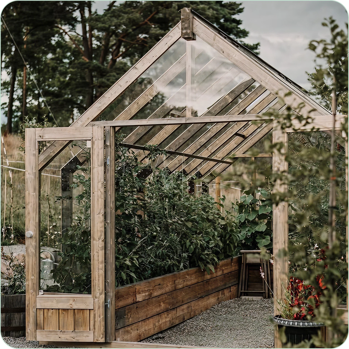Open door of a Nordwood greenhouse filled with plants