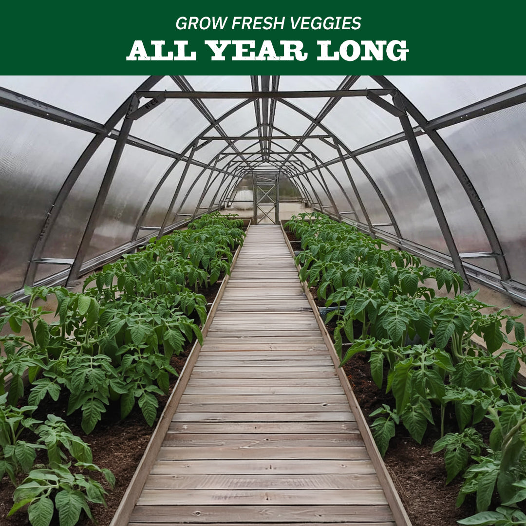 Classic Arch Greenhouse