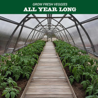 Classic Arch Greenhouse