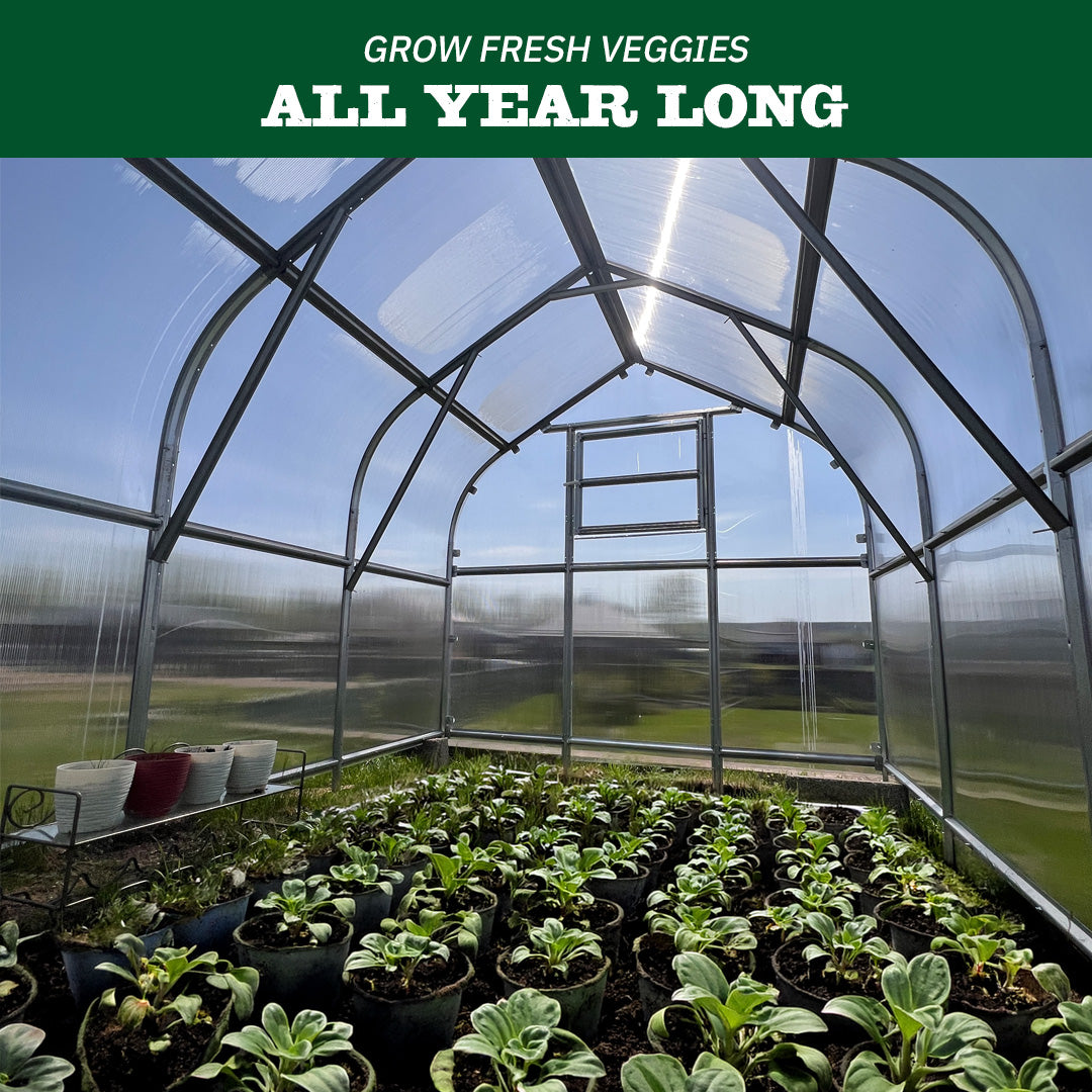 Arrow Greenhouse