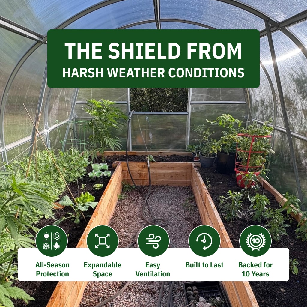 World's Most Popular Polycarbonate Greenhouse