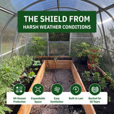 World's Most Popular Polycarbonate Greenhouse