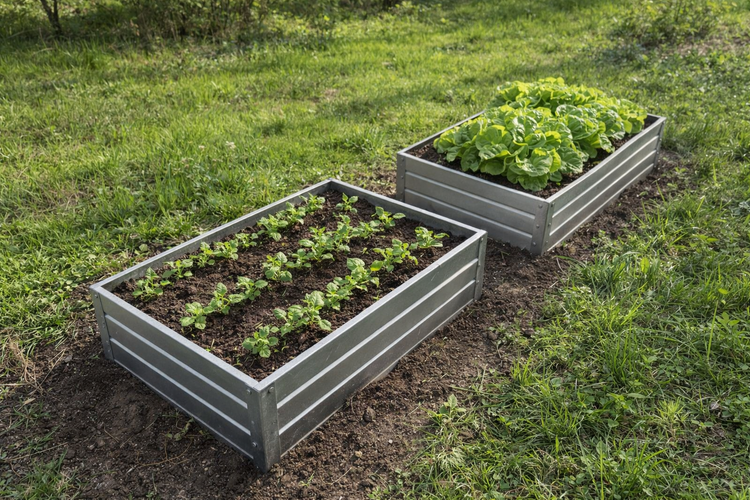 Galvanized Steel Raised Gardening Bed