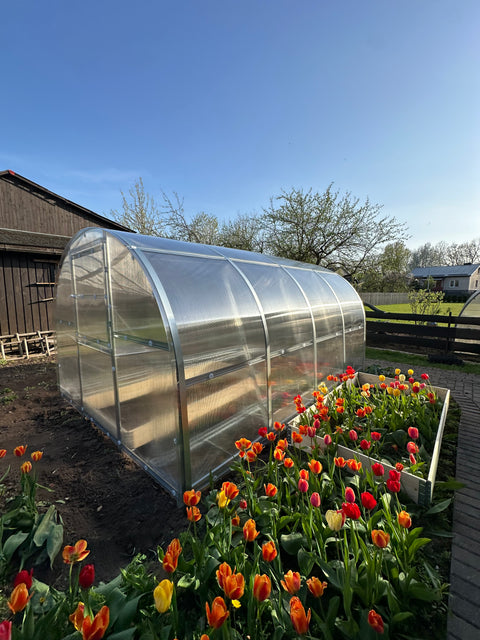A polycarbonate greenhouse in an owner's garden