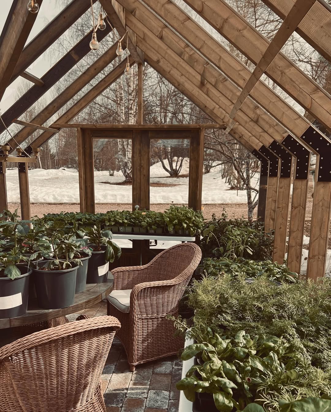 Indoor garden with wicker chairs and potted plants in a wooden structure.