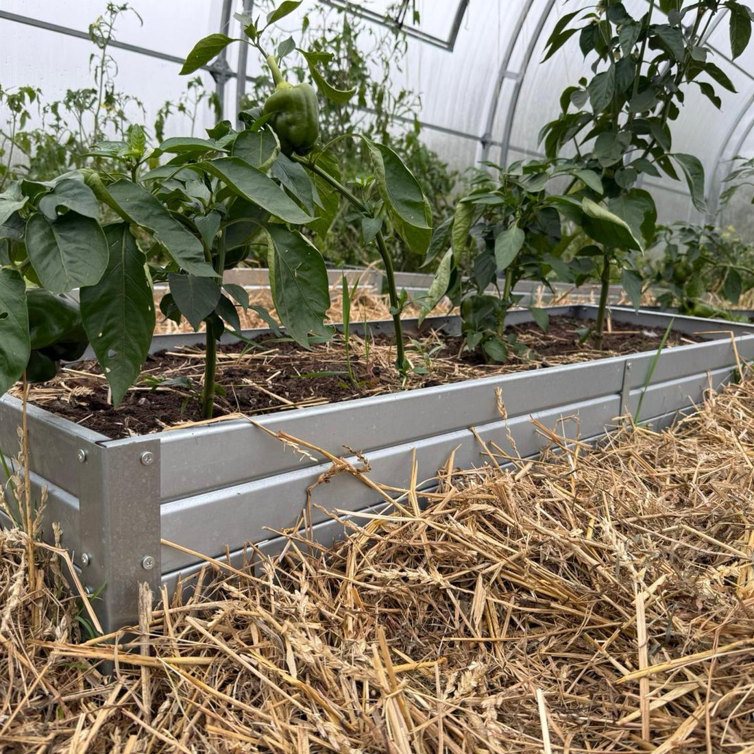 Raised Gardening Bed Kit