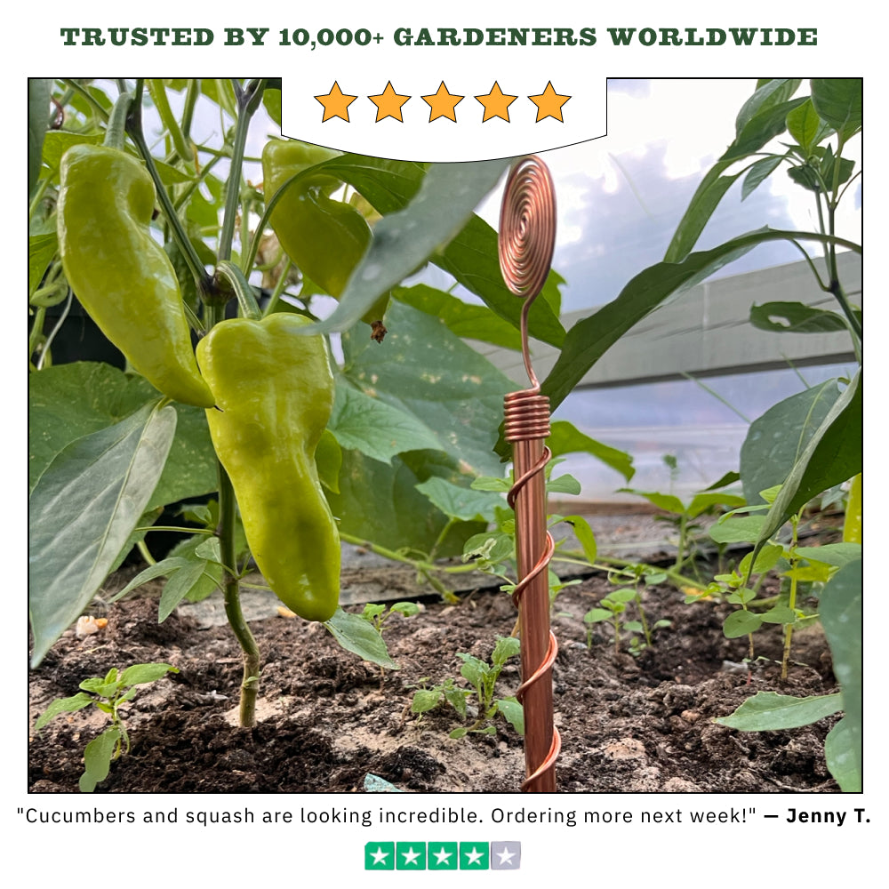 Copper Electroculture Antenna Set (4 pcs) – Boost Plant Growth and Vitality