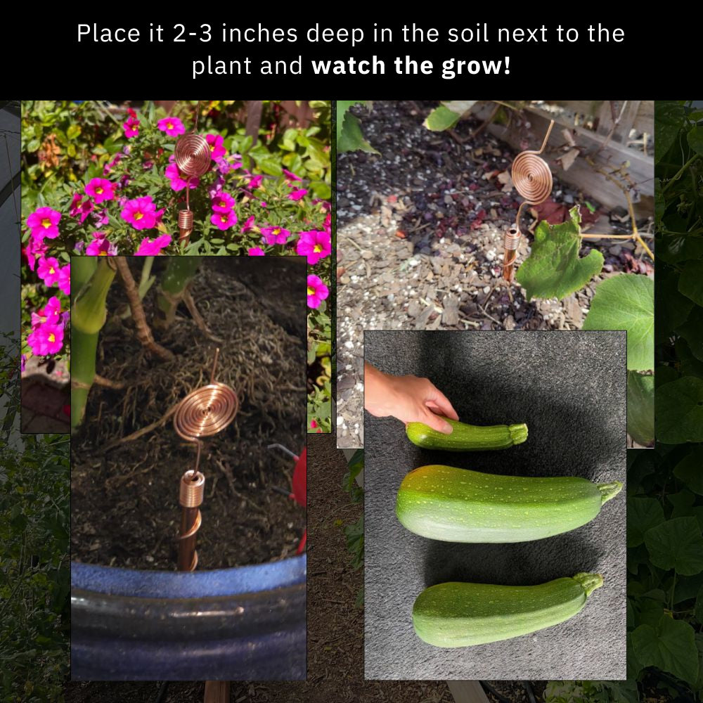 Copper Electroculture Antenna Set (4 pcs) – Boost Plant Growth and Vitality