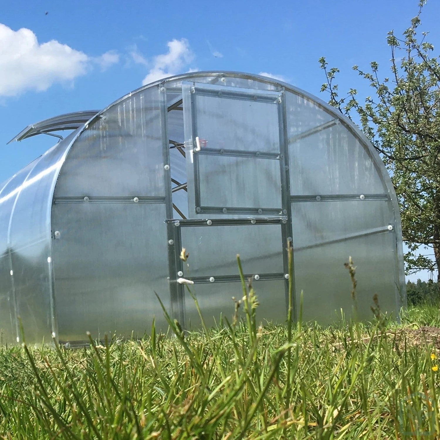 Worlds most popular greenhouse from the front two doors and a vent