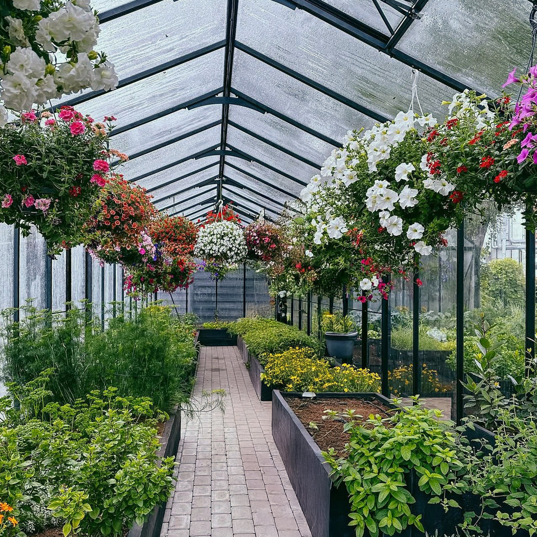 Scandiglas Grand Orangerie