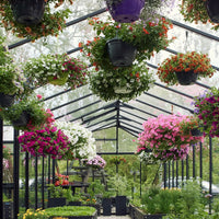 Scandiglas Grand Orangerie