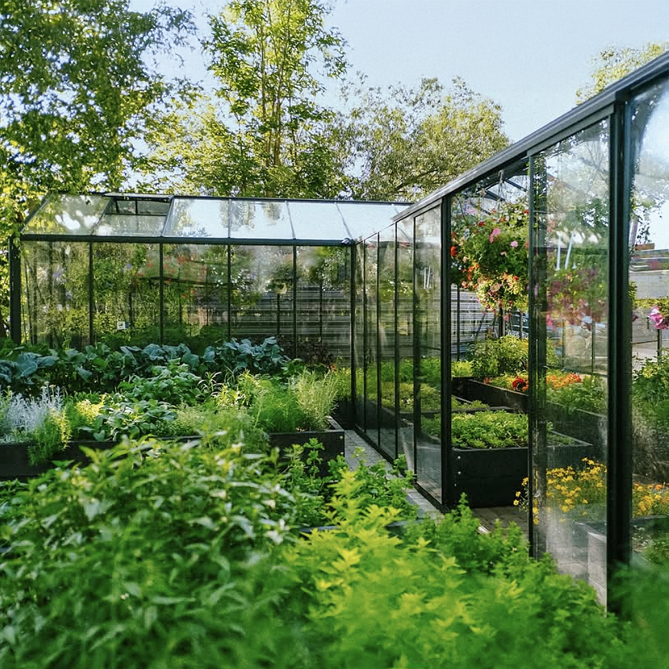 Scandiglas Grand Orangerie