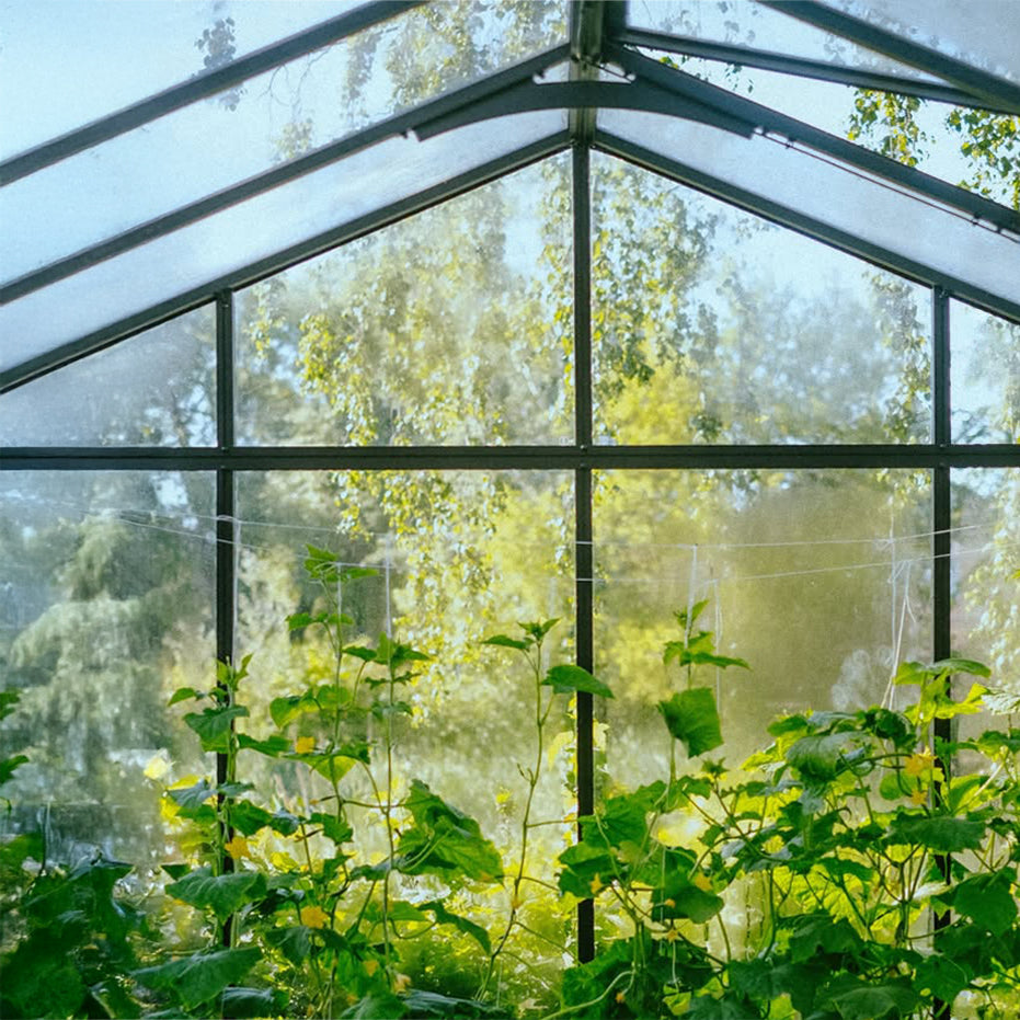Scandiglas Grand Orangerie