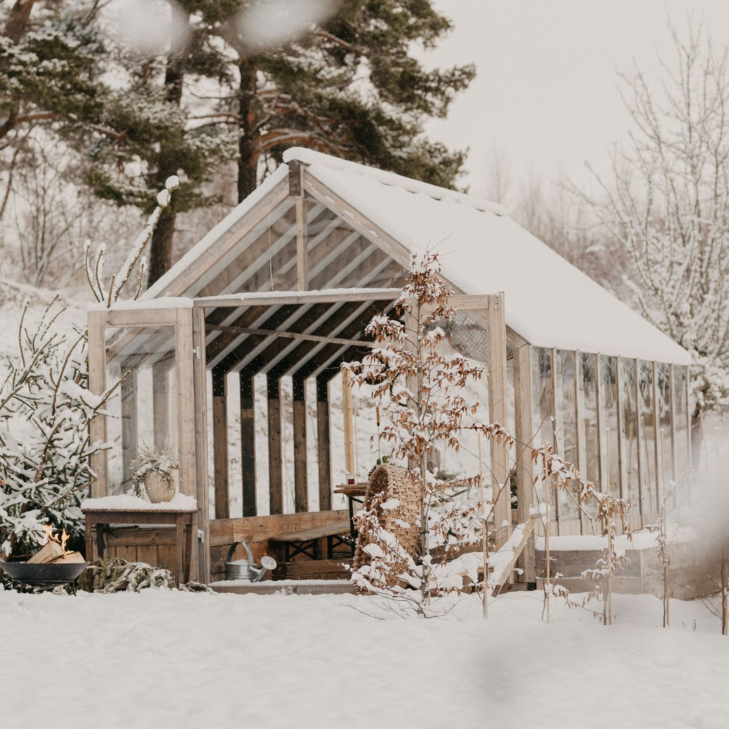 Wooden shed covered in snow with trees in the background
