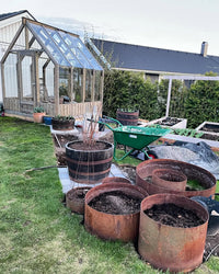 Garden scene with large planters and a greenhouse in the background