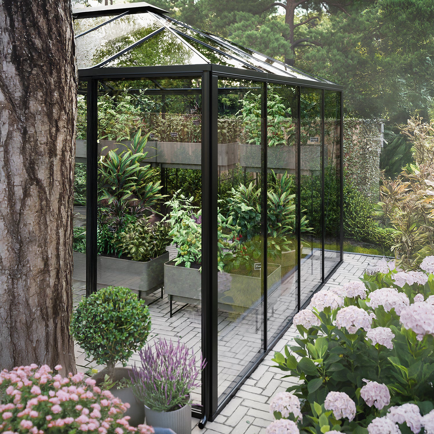 Scandiglas Pyramid Greenhouse