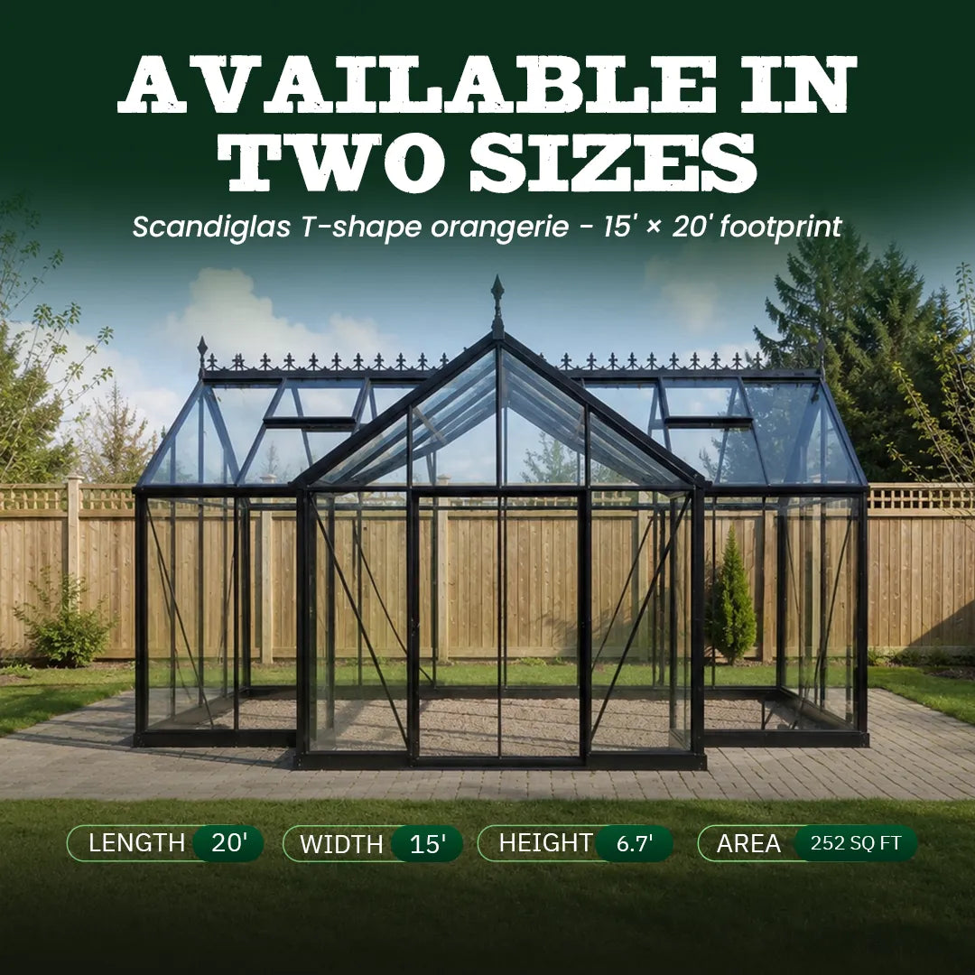 Scandiglas T-shape orangerie