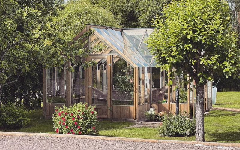 Wooden greenhouse with glass panels surrounded by greenery