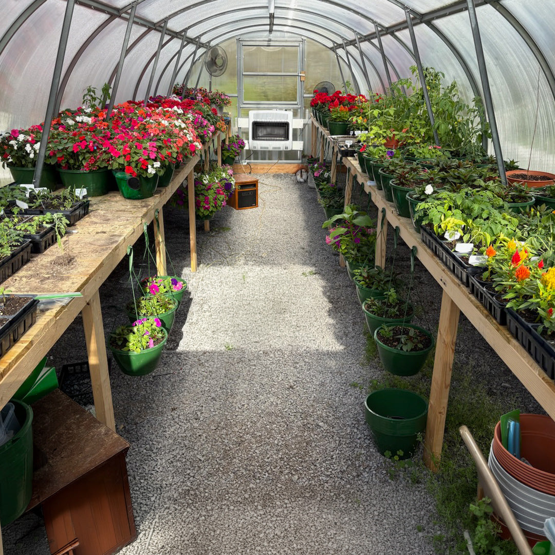 World's Most Popular Polycarbonate Greenhouse