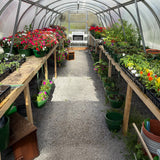 World's Most Popular Polycarbonate Greenhouse