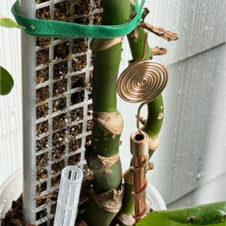 Copper Electroculture Antenna Set (4 pcs) – Boost Plant Growth and Vitality