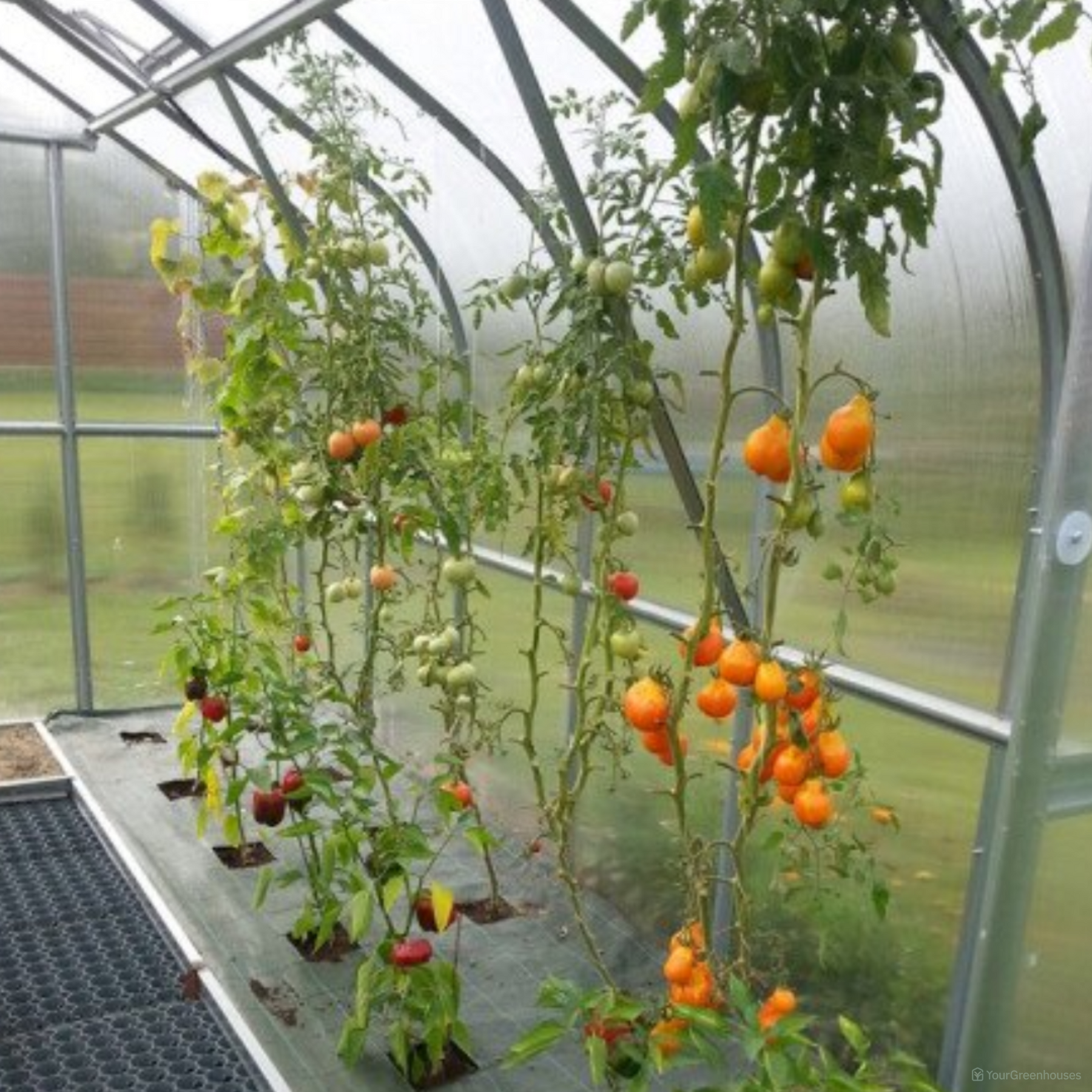 Plant Support Kit