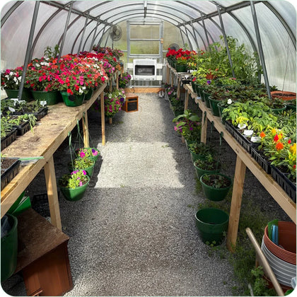 Customer greenhouse photo