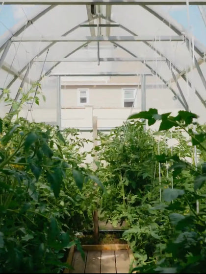 Customer greenhouse photo