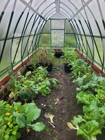 Customer greenhouse photo